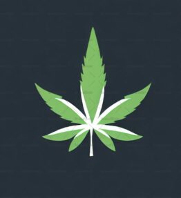 Cannabis