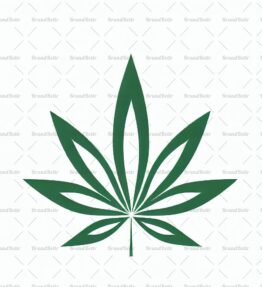 Cannabis