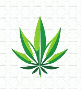 Cannabis