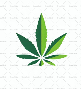 Cannabis