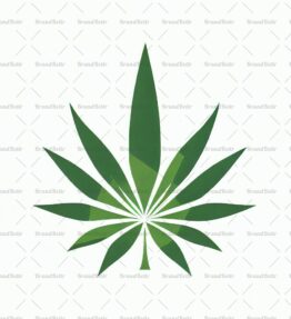 Cannabis