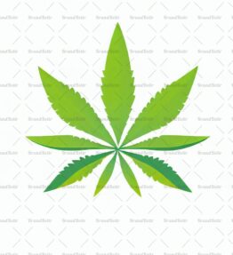 Cannabis