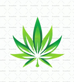 Cannabis