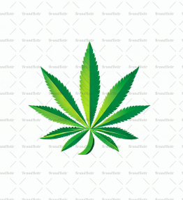Cannabis
