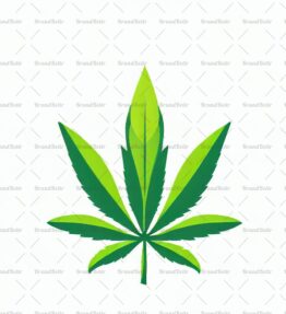 Cannabis