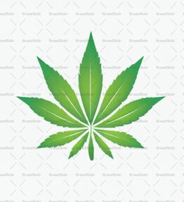 Cannabis
