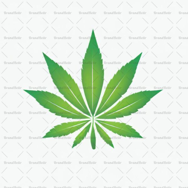 Cannabis
