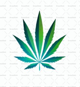 Cannabis