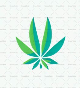 Cannabis