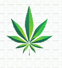 Cannabis