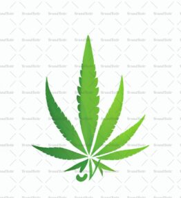 Cannabis