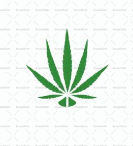 Cannabis