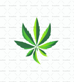 Cannabis