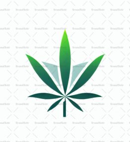 Cannabis