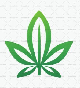 Cannabis