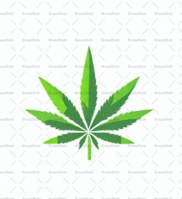Cannabis