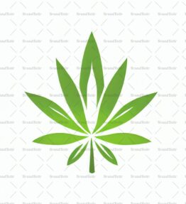 Cannabis