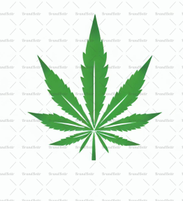 Cannabis