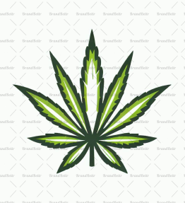 Cannabis