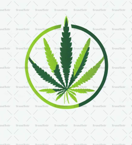 Cannabis