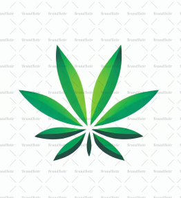 Cannabis