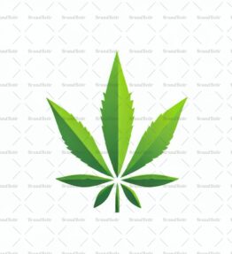 Cannabis