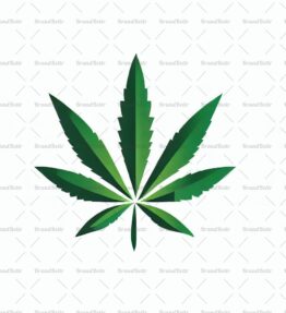 Cannabis