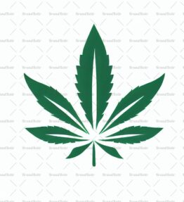 Cannabis
