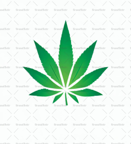 Cannabis