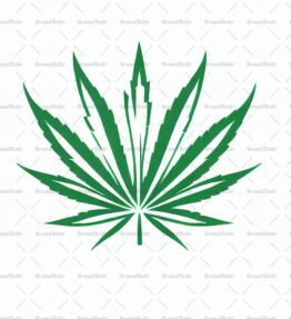 Cannabis