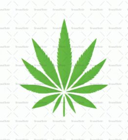 Cannabis