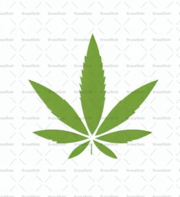 Cannabis