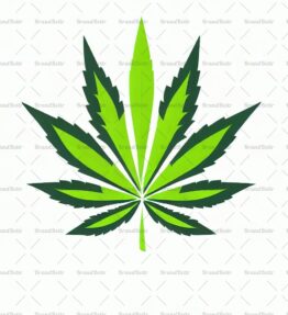 Cannabis