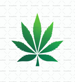 Cannabis