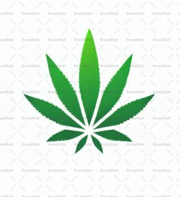 Cannabis