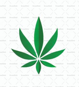Cannabis