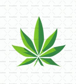 Cannabis