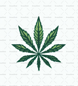 Cannabis