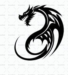 Drache