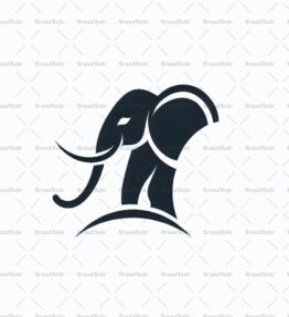 Elefant