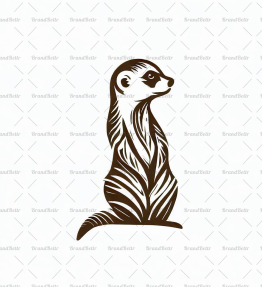 Erdmännchen