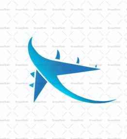 Flugzeug