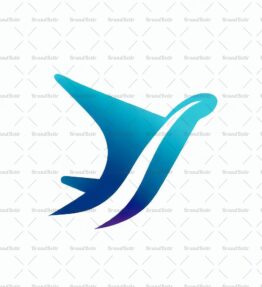 Flugzeug