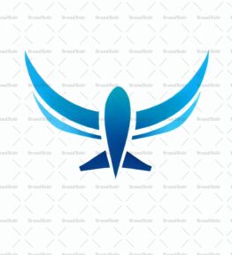 Flugzeug