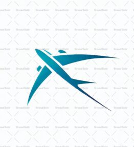 Flugzeug
