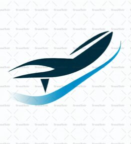 Flugzeug