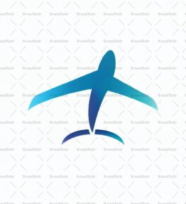 Flugzeug