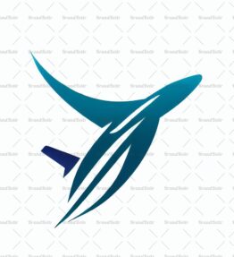 Flugzeug