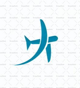 Flugzeug