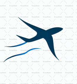 Flugzeug